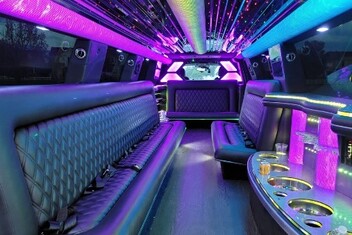 Wyoming Limo Interior